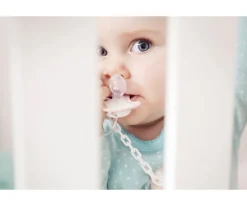 LOVI 2 Chupetes Botanic Pink Vintage^ Chupetes Con Diseños