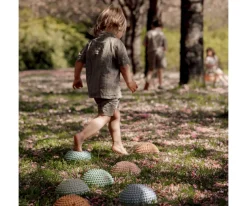 Niños Find that hippo 4 Piedras Sensoriales Sunset