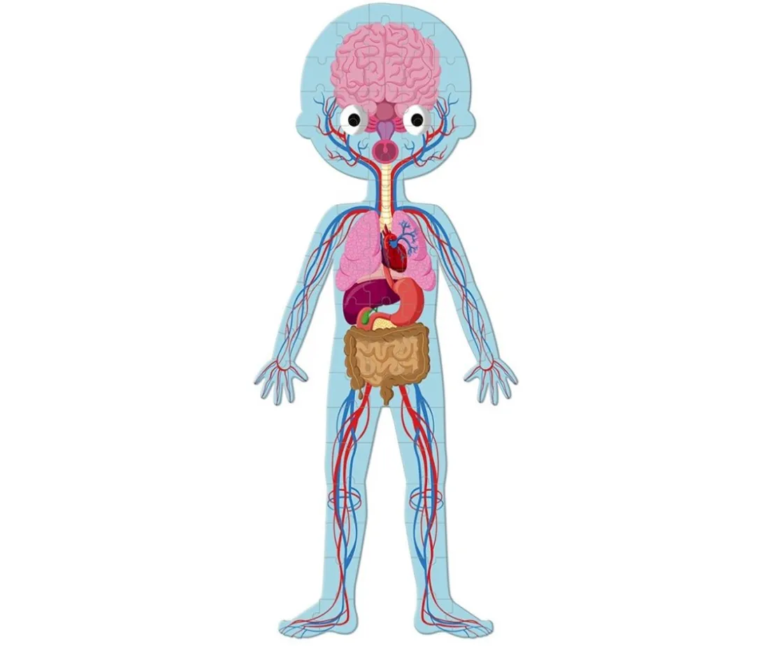 Niños Janod 4 Puzles Educativos El Cuerpo Humano