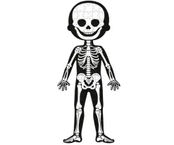 Niños Janod 4 Puzles Educativos El Cuerpo Humano