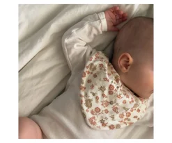 Cam Cam 2 Secababitas Augusta^ Secababitas