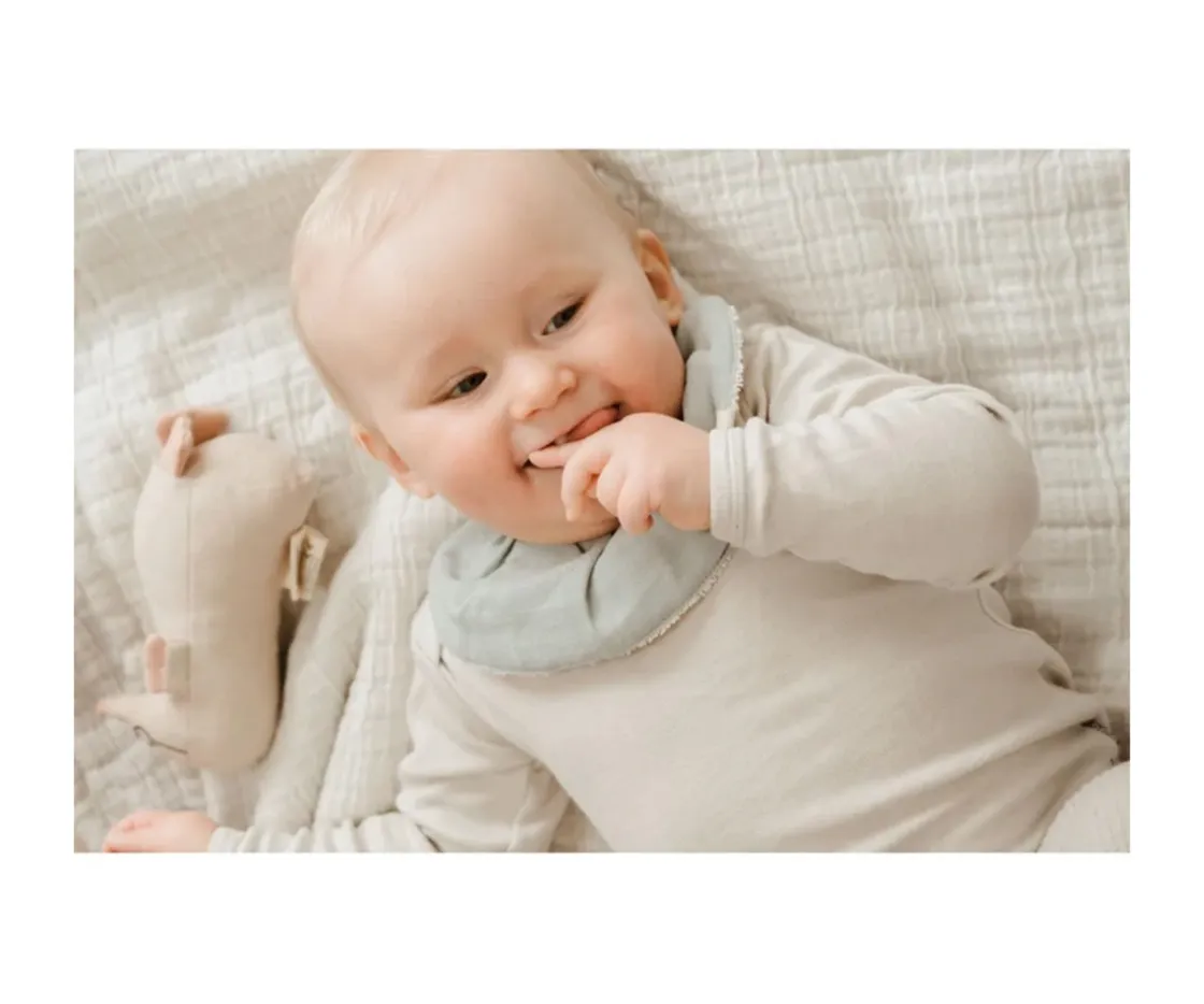 Fabelab 3 Secababitas con Volantes Under the Sea^ Secababitas