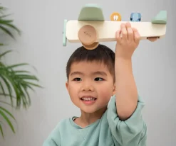 Niños Trixie Avión Madera Animales