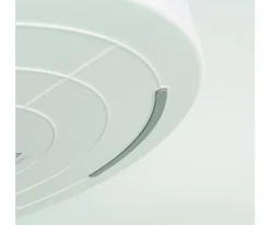 Niños Inspire My Play Bandeja Sensorial PlayTray con Compartimentos y Tapa Extraíbles