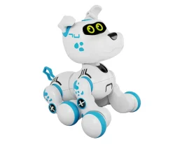 Niños World Brands Bobby El Perro Robot