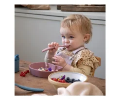 Sebra Bol de Silicona Fanto Nordic Blue