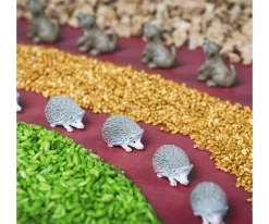 Niños Petit Boum Botella Sensorial Forest