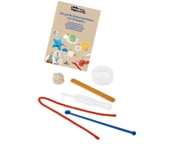 Niños moses Caja de Experimentación con Cristales