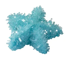 Niños moses Caja de Experimentación con Cristales