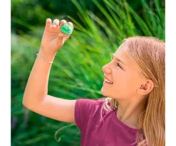 Niños moses Caja de Experimentación con Cristales