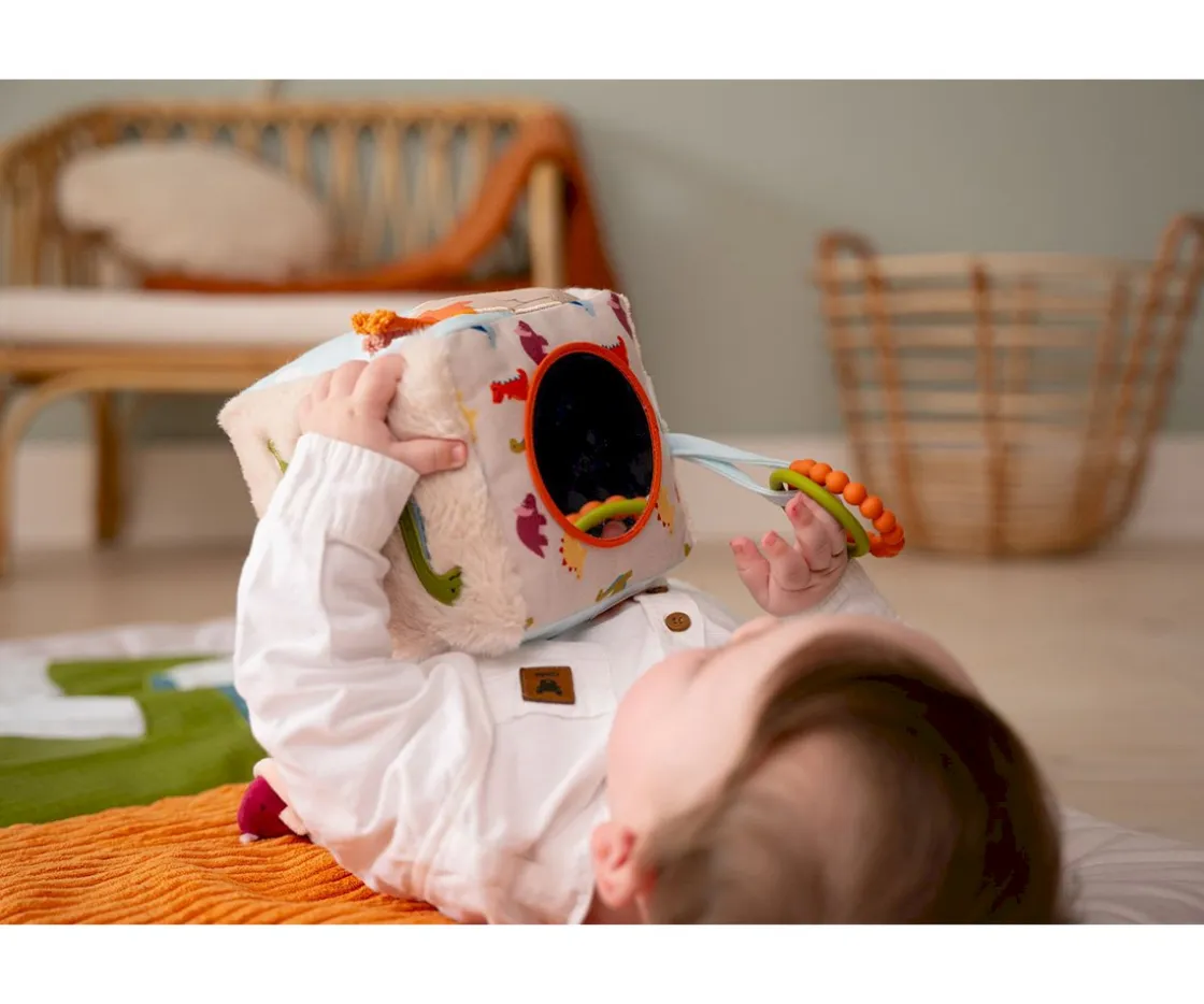 Niños Little Big Friends Cubo Actividades Dino Friends