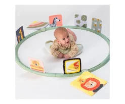 Niños Taf Toys Entrenador de Actividades Boca Abajo