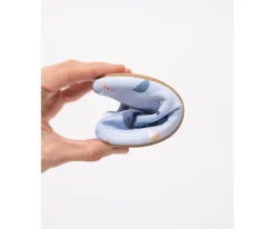 Monnëka Escarpines Cool Dinos^Niños Escarpines Para Niños Y Bebés