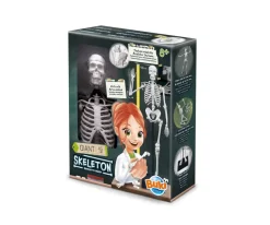 Buki Esqueleto 45 cm^Niños Juguetes Niños 8 Años