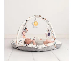 Niños Olmitos Gimnasio de Actividades Lion