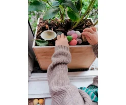 Niños Grapat Happy Eggs