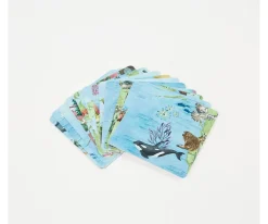 Niños Braintoys Imanix Speedy Eye Wild 56 piezas