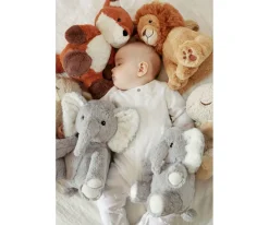 Niños Cloud-b Louis Lion Smart Sensor®