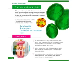Levenhuk Microscopio LabZZ M101 Gris + Libro Educativo^Niños Juguetes Niños 6 Años