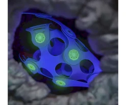 Niños Clixo Pack Ocean Creatures 24 Piezas