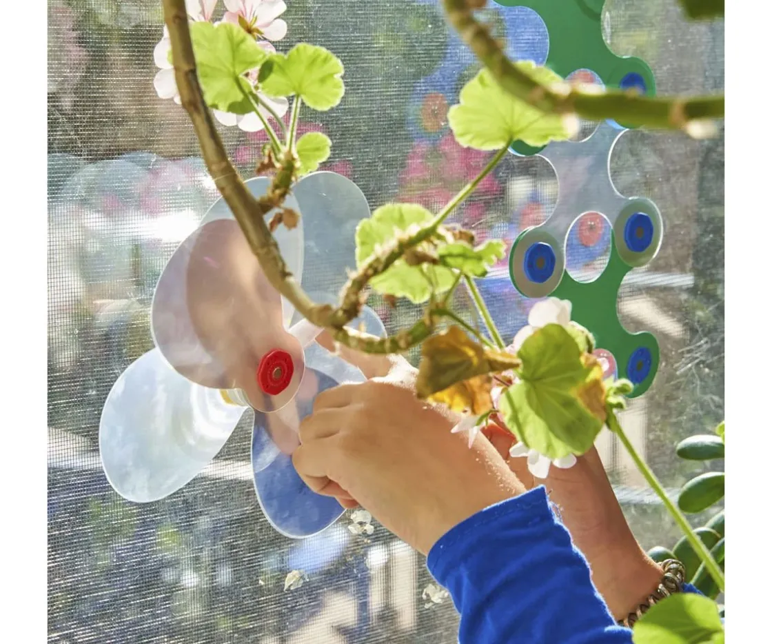 Niños Clixo Pack Window 24 Piezas