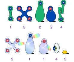 Niños Clixo Pack Window 24 Piezas