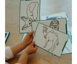 Niños Kidywolf Plantillas KidyDraw Mini Animales, Océanos y Piratas