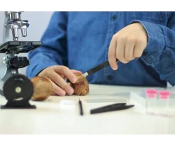 Buki Set Microscopio con 30 Experimentos^Niños Juguetes Niños 8 Años