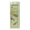 A Little Lovely Company Set Tapa Pajita y Cepillo Dinosaurs^ Botellas De Acero
