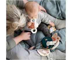 Sebra Sonajero Mordedor con Espejo Luca Ladybird