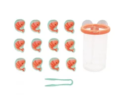 Niños Janod Trampa para Pescar Gambas