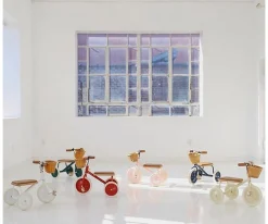 Niños Banwood Triciclo Trike Rosa